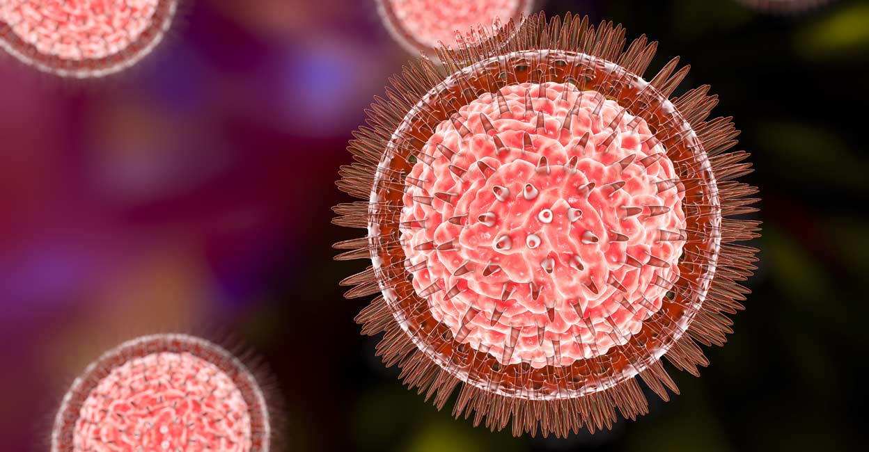 Zika virus Representational image: Kateryna Kon/Shutterstock