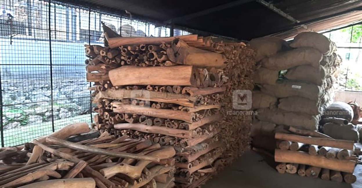 Sandalwood stored at Marayur Sandalwood stored at Marayur
