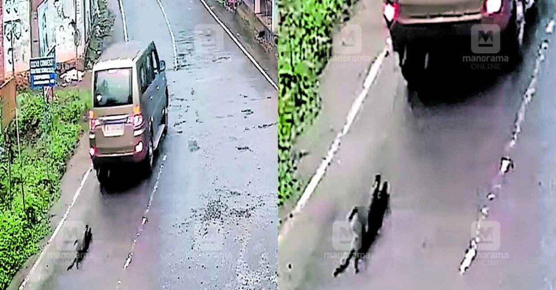 dog-dragged-behind-car-kottayam