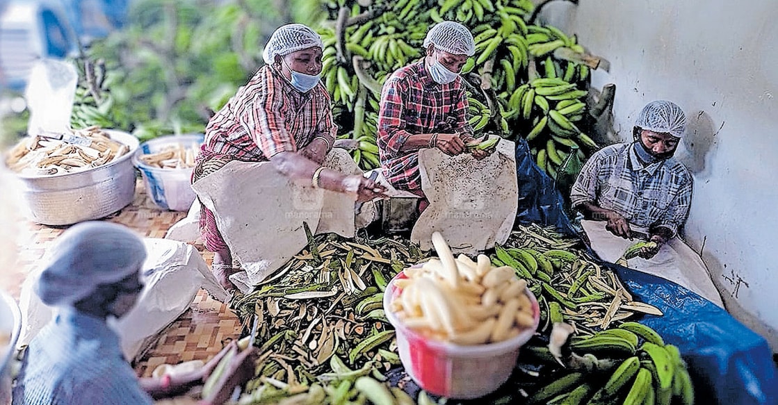 kudumbasree-members Kudumbasree workers at work. Representational image/Manorama