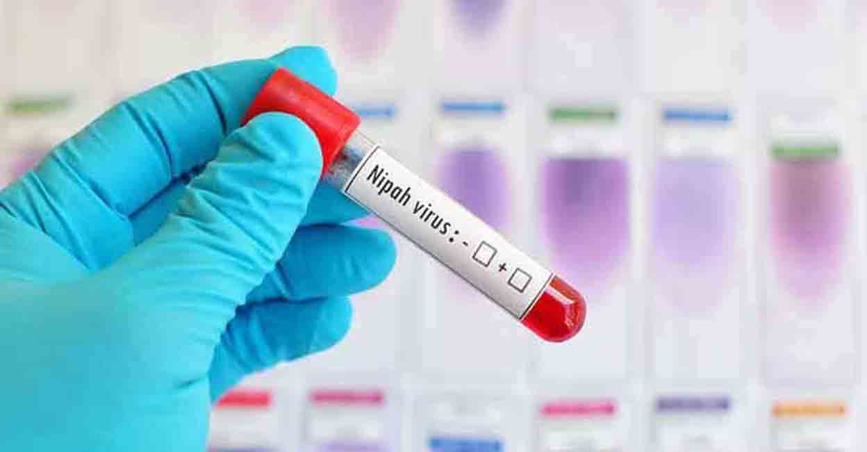 17 more samples test negative for Nipah: Health Minister Veena George 17 more samples test negative for Nipah: Health Minister Veena George