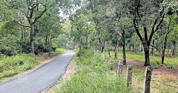Forest officials worried over non-payment of salaries to Marayoor guards