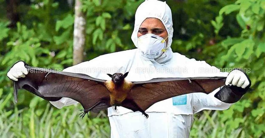 Nipah outbreak: Kerala accounted for 28% of cases confirmed in India in ...