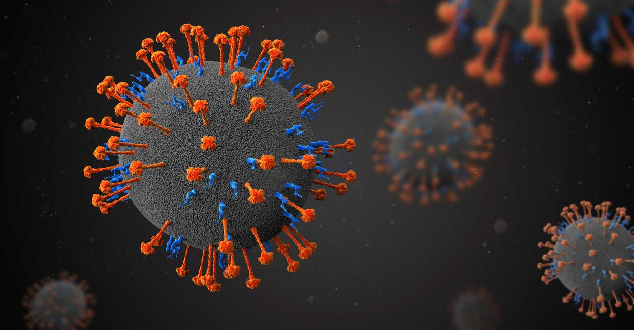 Nipah virus. Photo: Shutterstock/Festa