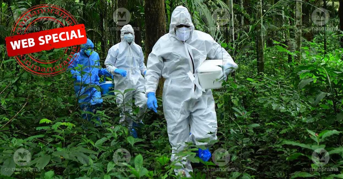 nipah-kozhikode