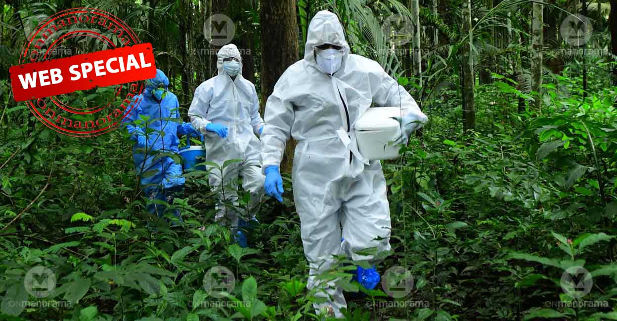 nipah-kozhikode