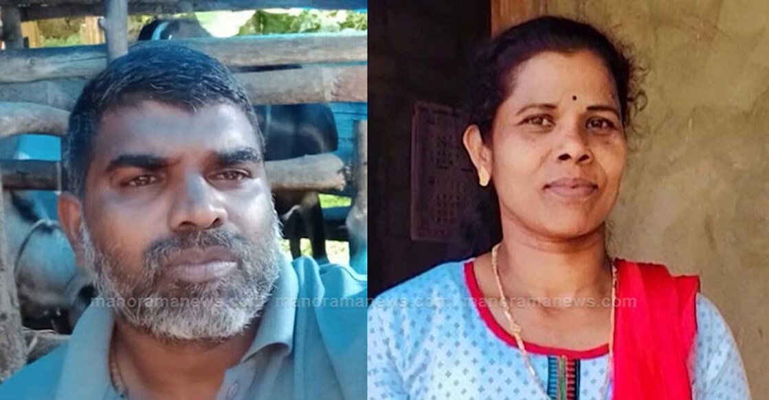 Binoy, Sindhu