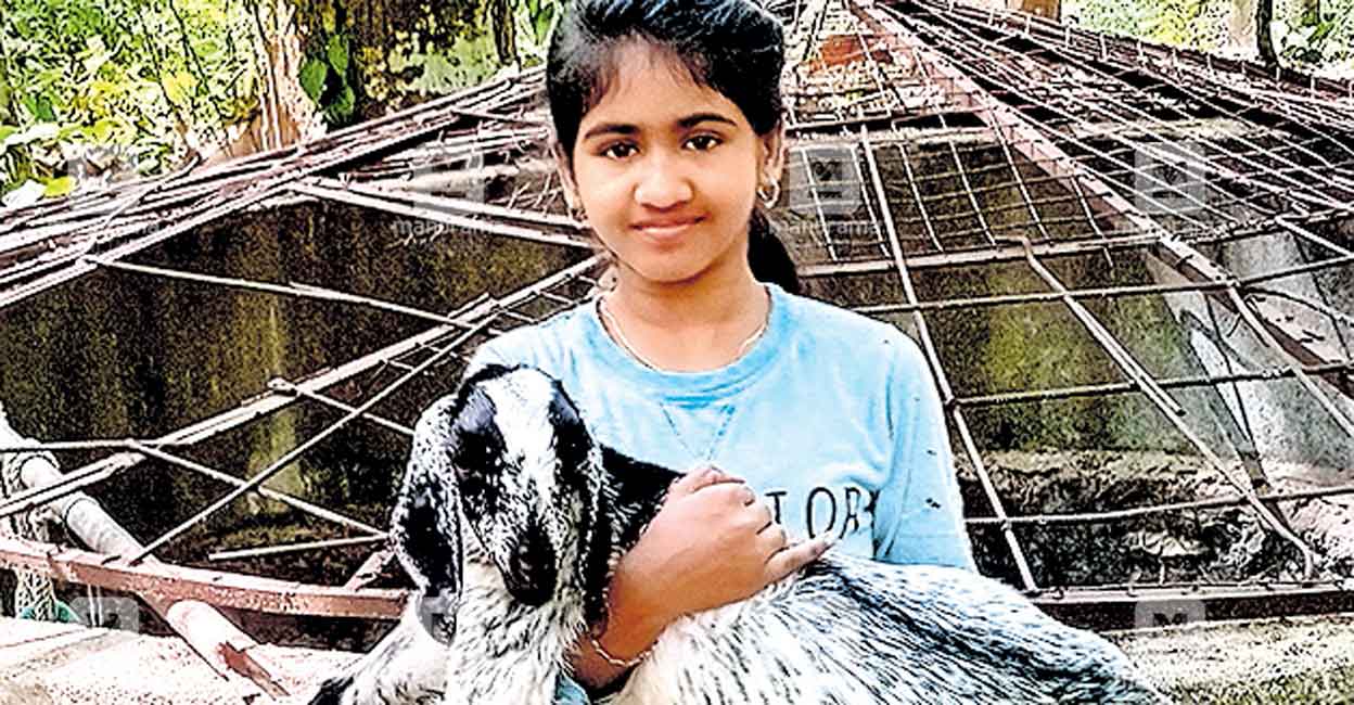 Brave act! School girl climbs down 25-ft well to rescue her dear lamb Alphonsa is a seventh standard student of St Francis Xavier's School, Manjappara.
