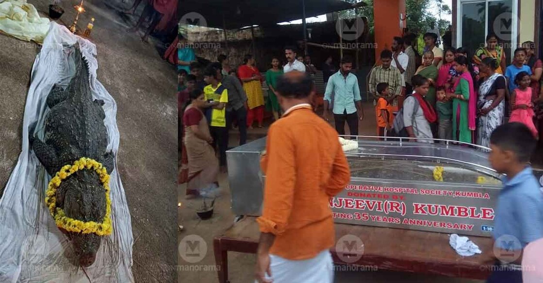 Devotees throng Sri Ananthapadmanabha Swamy Temple to pay their last respects. 'Babiya', believed to be a messenger of Lord Padmanabhan, is to be buried in the temple courtyard. Photo: Special arrangement