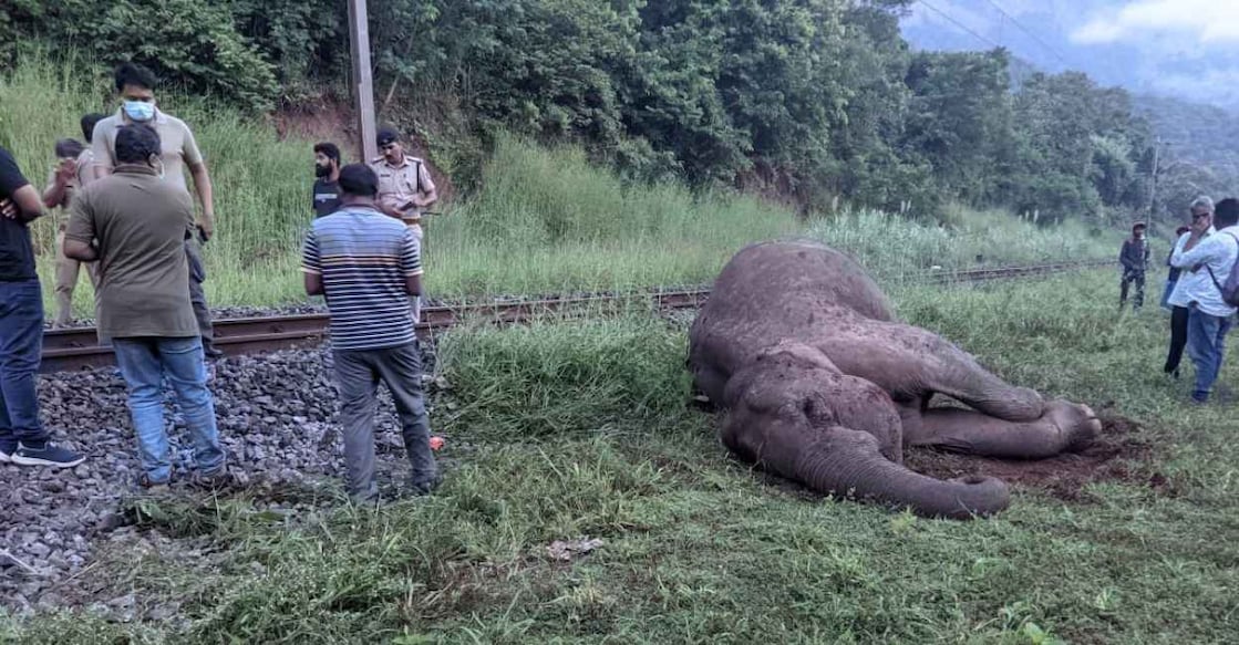 elephant-railway-track-1 - 1 The 11-km railway line between Kanjikode and Walayar is one of the most dangerous for elephants. According to a Forest Department's report on the human-animal conflict, 15 elephants were killed between 2002 and 2019 here.