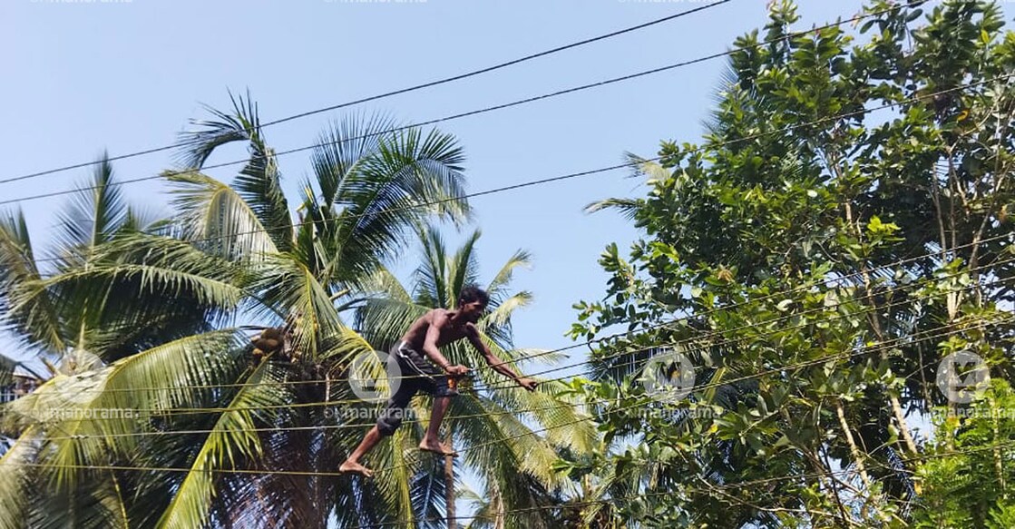 Mentally ill man from Bihar walks on power cables, creating a scare at Mavungal near Kanhangad on Saturday.