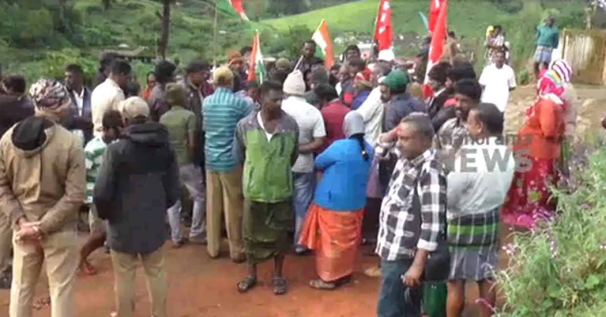 Tiger kills 10 cows in Munnar, forest dept sets up cages after protest