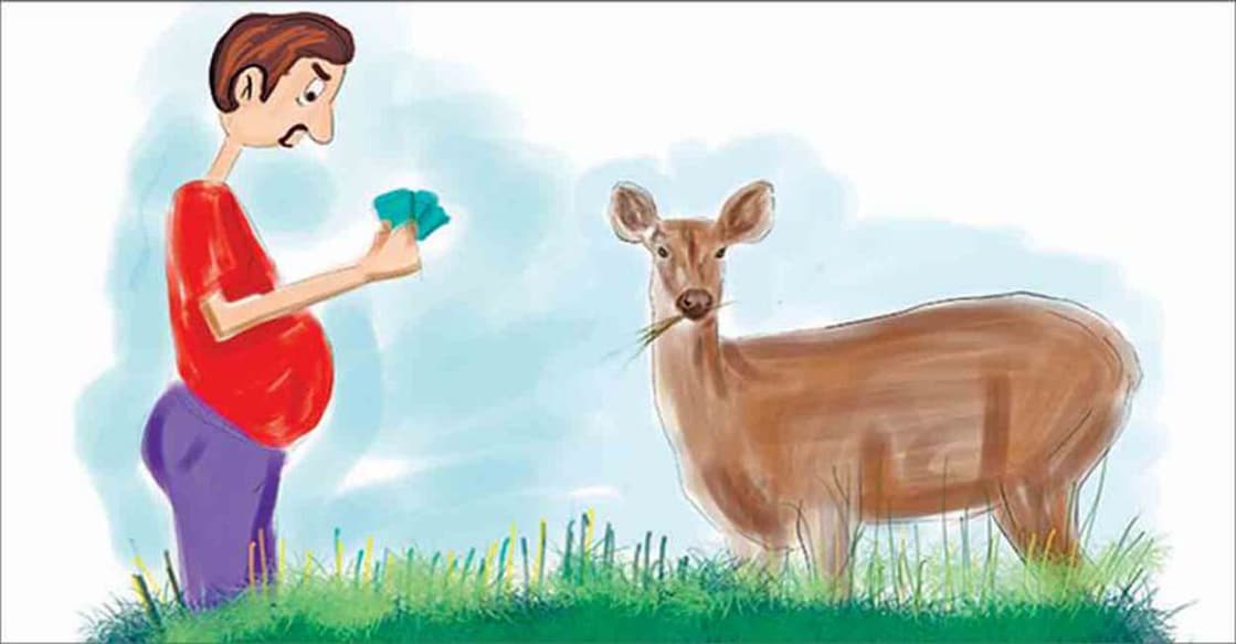 deer-main Representational Image | Photo: Manorama