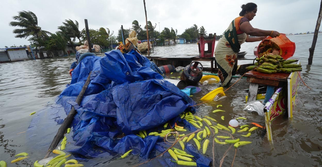 rain-shop-add A woman salvages her shop at the Marina beach following the landfall of Cyclone Mandous, in Chennai on Saturday | Photo: PTI