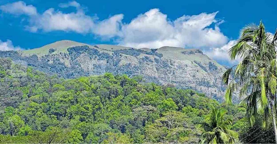 Representational image. File photo: Manorama