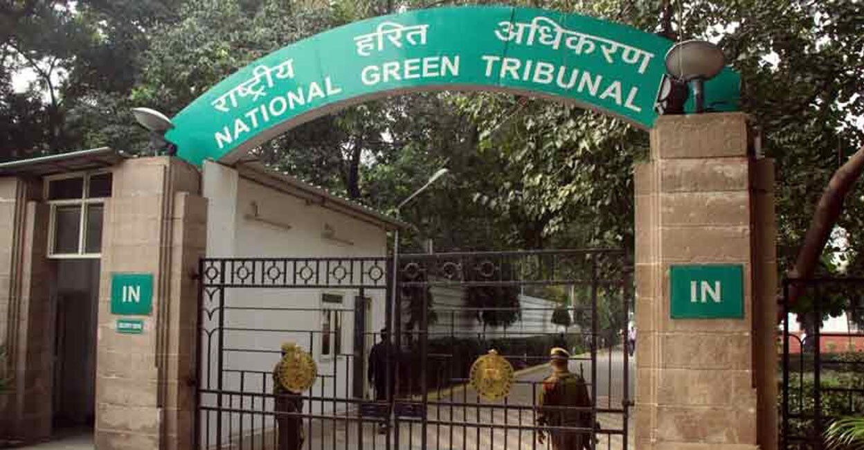 National Green Tribunal | Photo: File Image