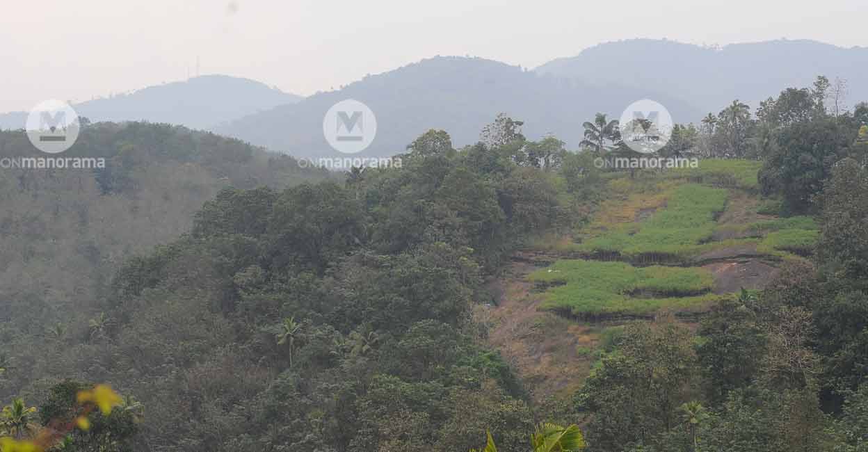 ESZ An eco-sensitive area in the Western Ghats. File photo: Manorama