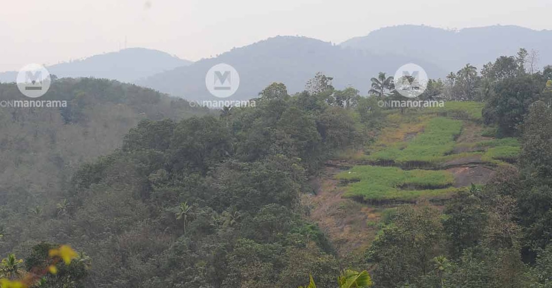 ESZ An eco-sensitive area in the Western Ghats. File photo: Manorama