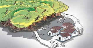 Buffer zone: 21,252 new constructions found in direct survey alone