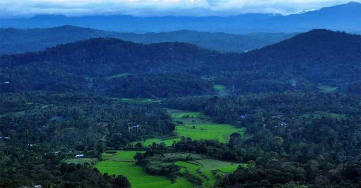 buffer-main Representational Image | Photo: Manorama