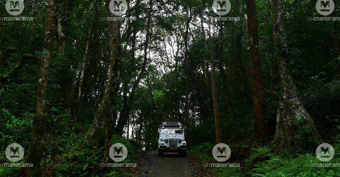 A journey to Churuli village through the forests of Wayanad At the meeting, the Local Administration Department pointed out that the land inspection with the help of Kudumbashree would take more time and the cost incurred will be higher: Manorama