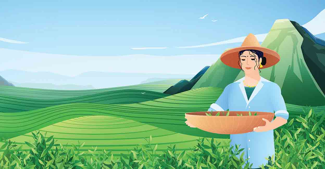 Illustration: Manorama