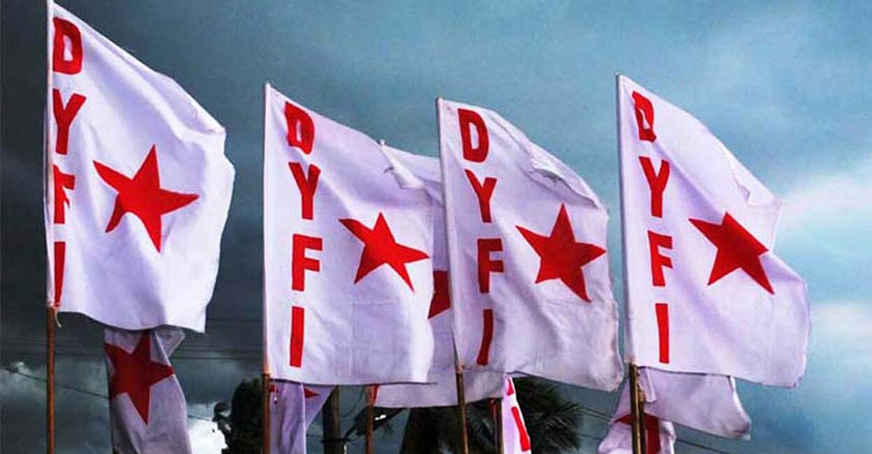 dyfi-flag