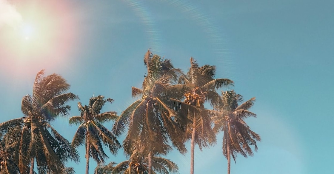 Summer Representational image. Source: Canva