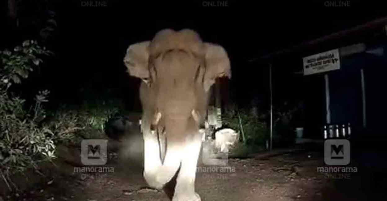 A screengrab of the incident that was caught on a camera inside the car. 