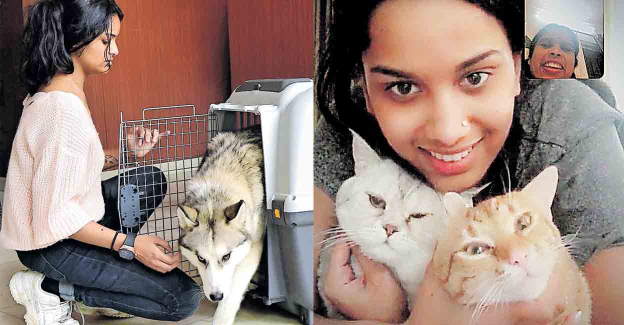 Ukraine pets Idukki native Arya Aldrin with her pet dog Zaira, Cats Smoky and Chiltu with Swetha