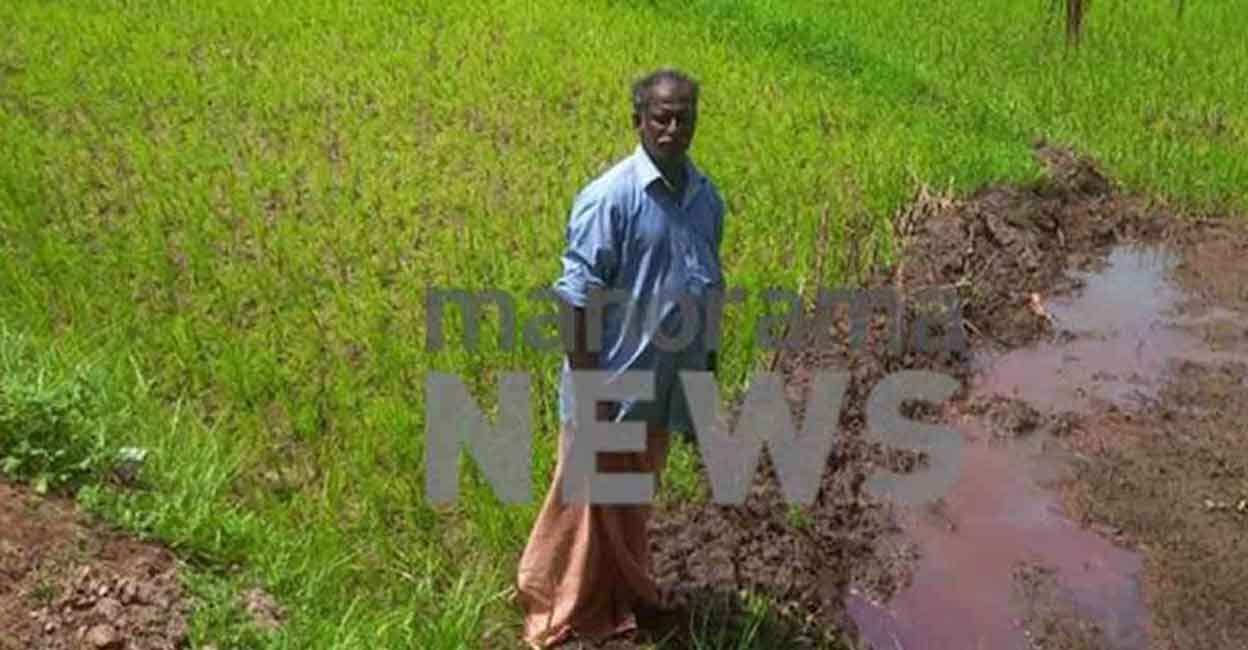 rajeev-farmer-suicide-1 rajeev-farmer-suicide-1