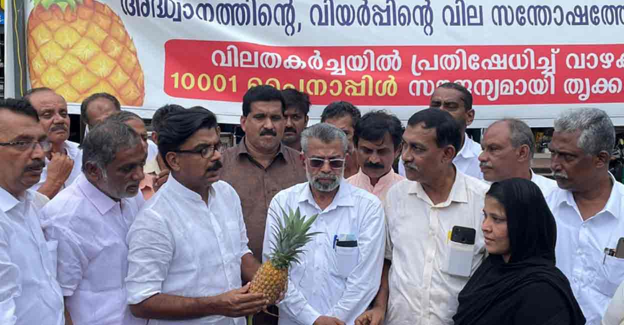 Pineapple protest Congress MLA Mathew Kuzhalnadan, who represents the Muvattupuzha constituency, inaugurated the protest by pineapple farmers of Vazhakulam. Photo: Special Arrangement