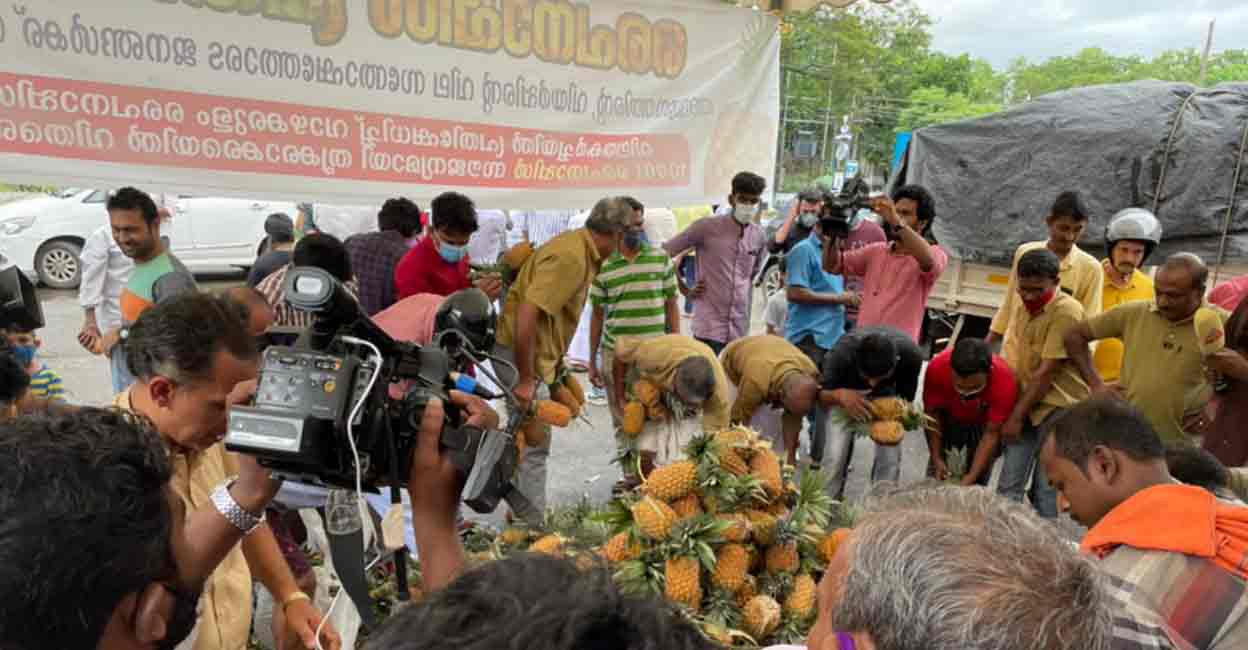 pineapple-protest-vazhakulam3 pineapple-protest-vazhakulam3