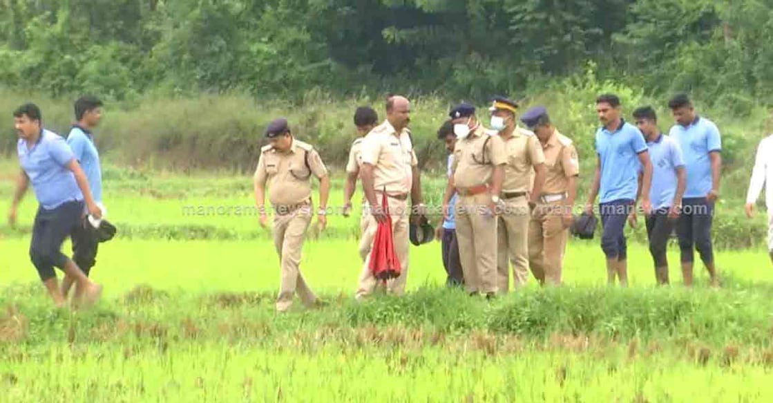 Paddy field Paddy field