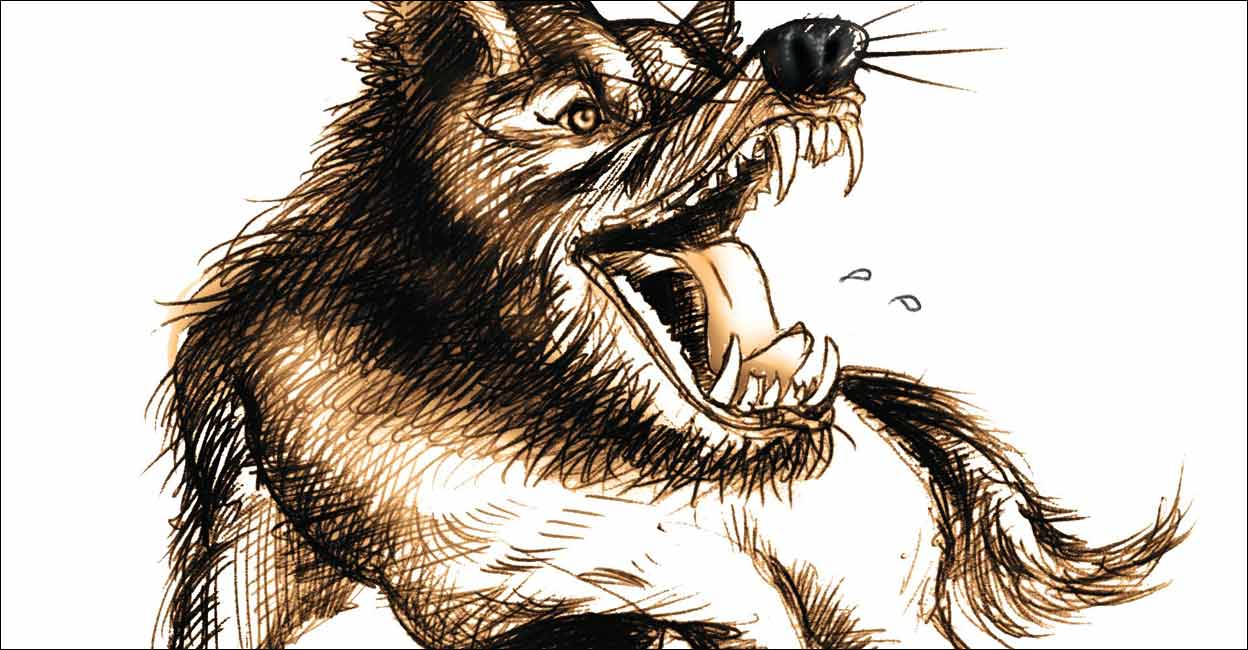 rabid-dog-rabies Illustration: Manorama