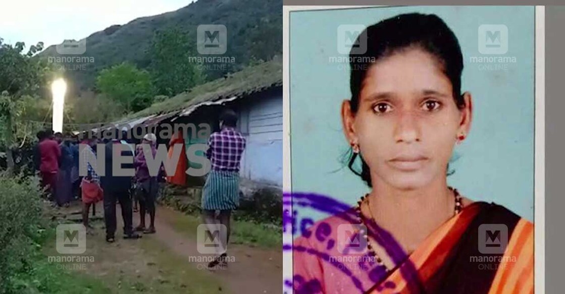 Elappara in Idukki where landslide occurred, Pushpa. Photo - Manorama