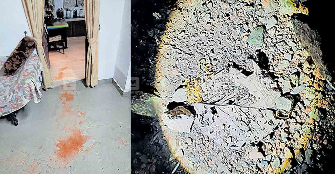 1. Chilly powder sprinkled in a bid to mask human scent. 2. A gold chain that was found lying on the path through which the burglar is suspected to have escaped.