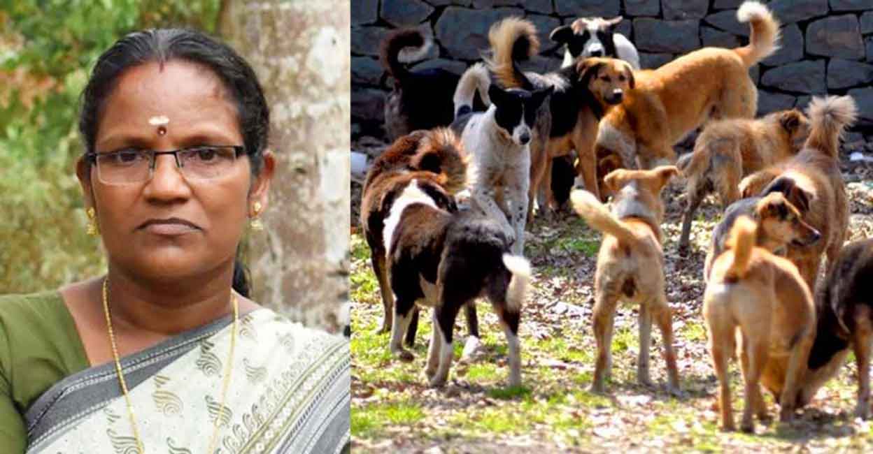 Chandrika (53); Stray dogs. File Photo