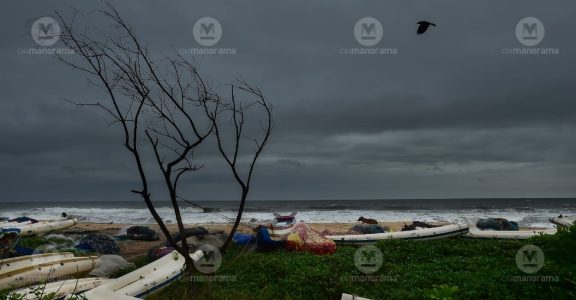 rain-havoc rain-havoc
