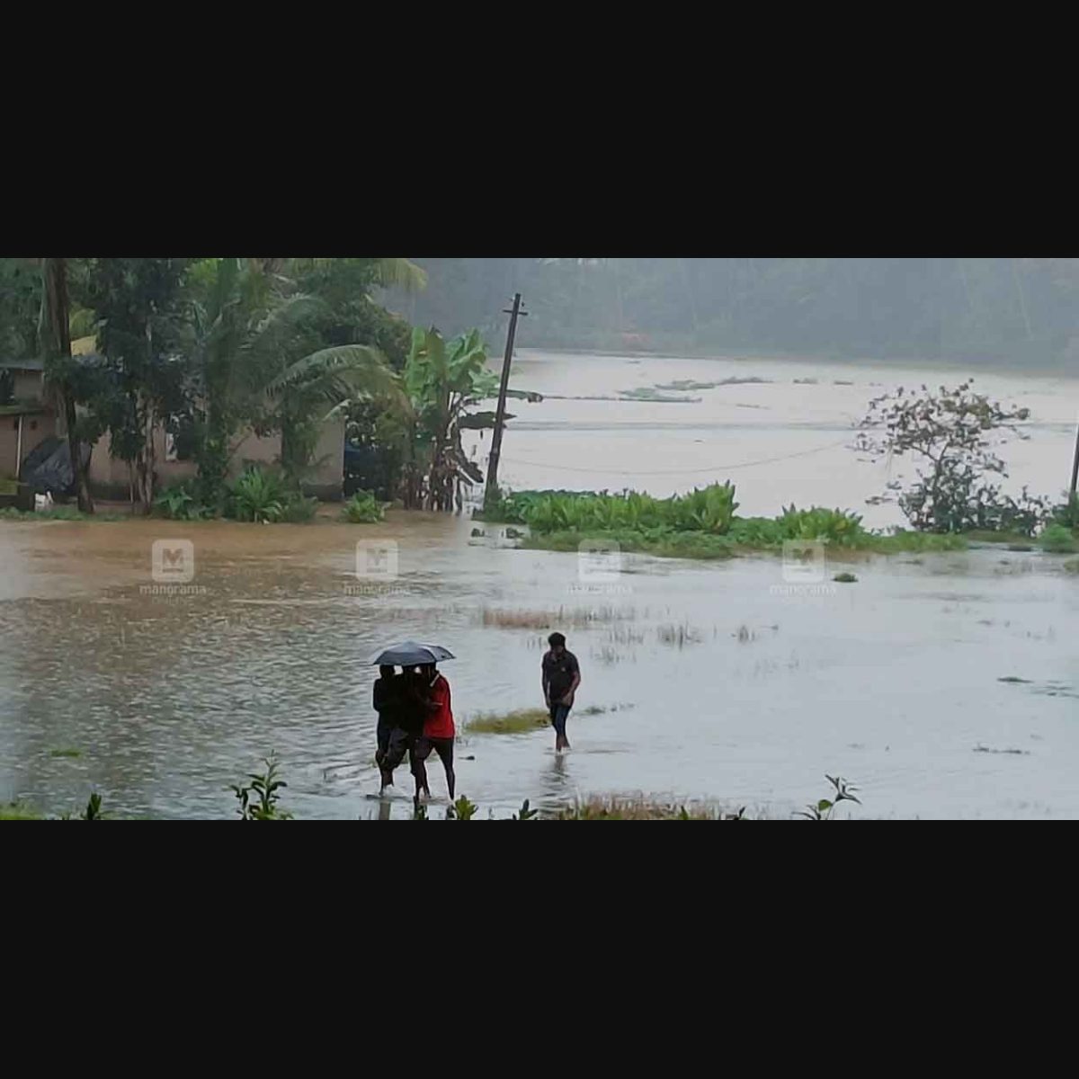 Kerala to receive heavy rain today; red alert in 4 districts ...