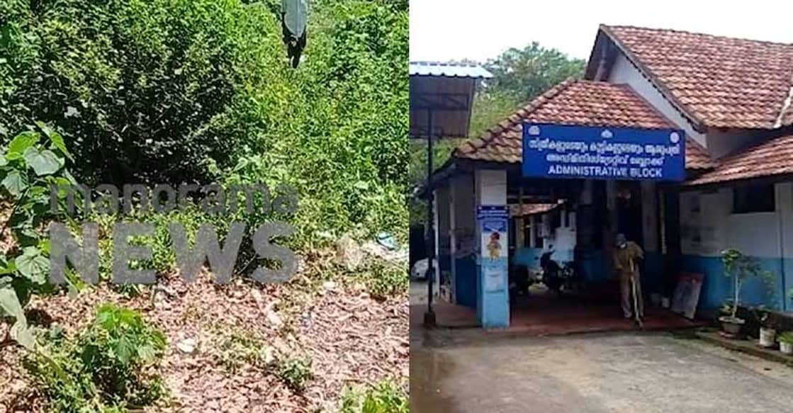 alappuzha-new-born-baby The thicket where the baby was found abandoned; the Women and Children's hospital, where the baby is currently under treatment. PHOTO: Manorama News