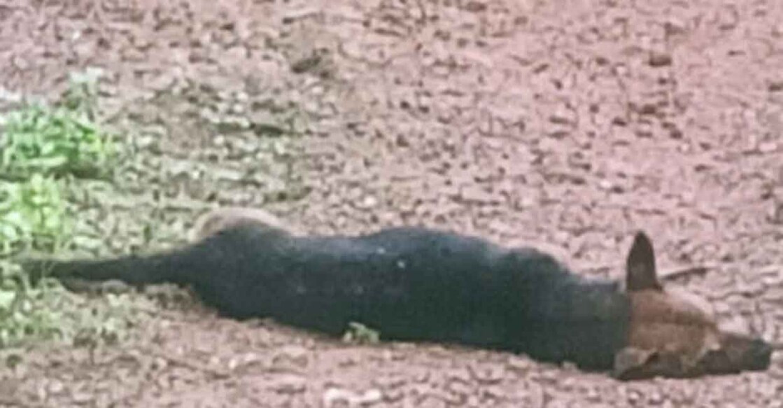 Screengrab: Manorama News