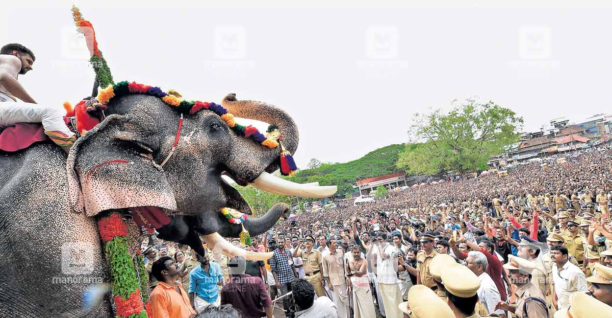 Thechikottukavu Ramachandran during Thrissur Pooram 2019. Photo: Unni Kottakkal.