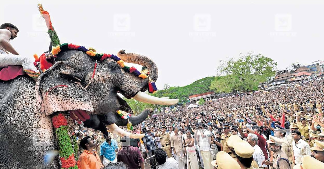 Thechikottukavu Ramachandran during Thrissur Pooram 2019. Photo: Unni Kottakkal.