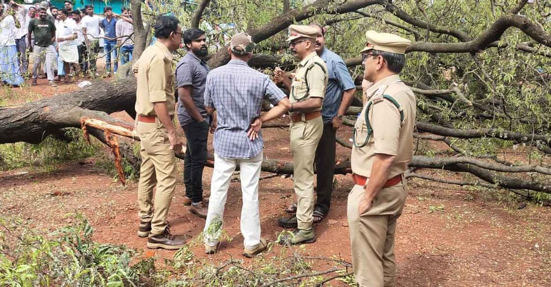 Forest department officers on Friday inspect the spot where reckless tree felling caused death f many birds belonging protected species near Edavanna, Malappuram. Photo: Kerala Forest and Wildlife Department/Facebook