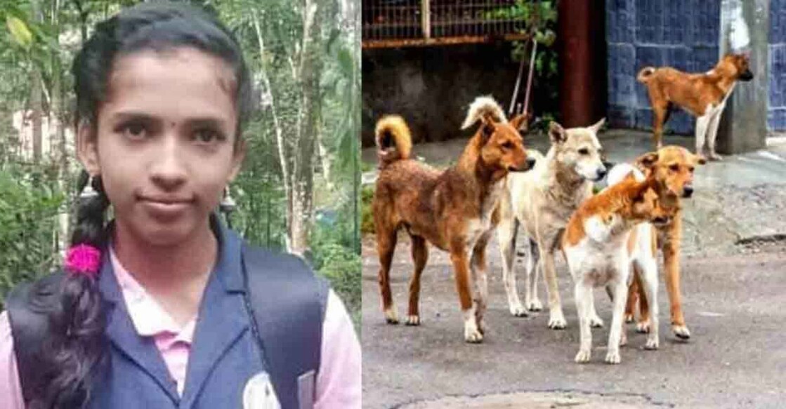 A 12-year-old Abhirami, who was undergoing treatment for rabies infection at the Kottayam Medical College, passed away on Monday despite taking three doses of vaccine. Photo: Manorama