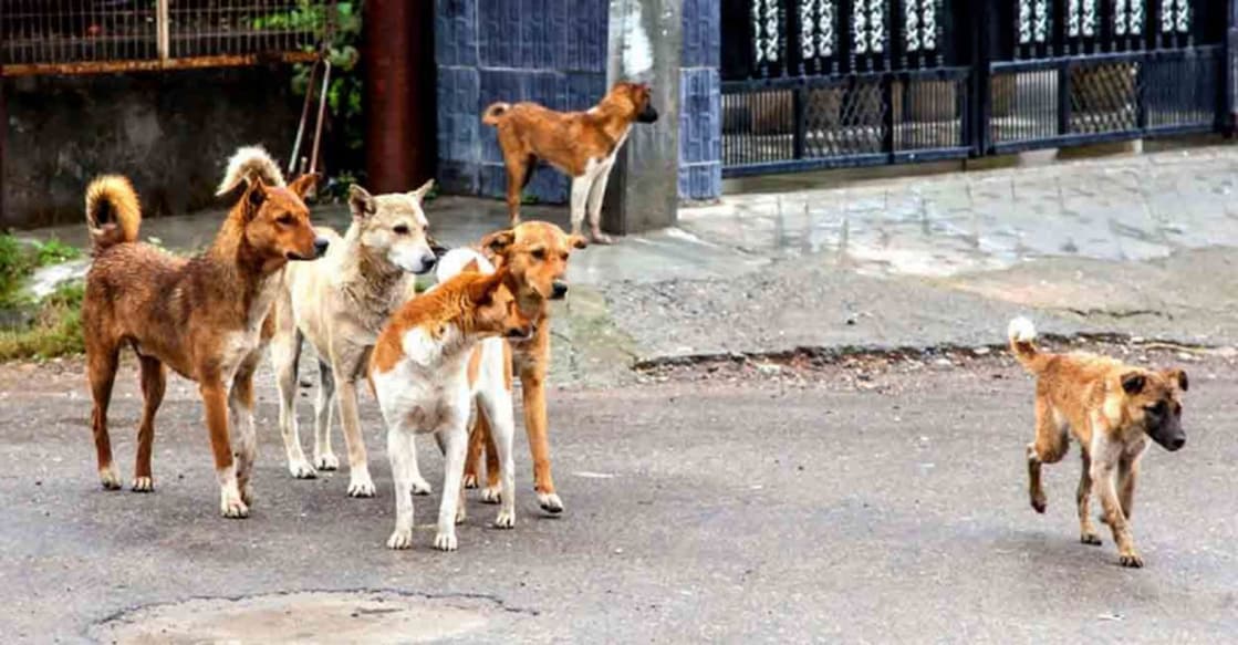 Representational image.