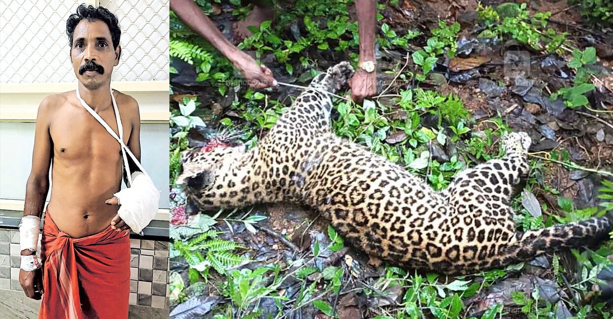 Gopalan at the Adimali Taluk hospital; the leopard that was hacked to death by Gopalan.