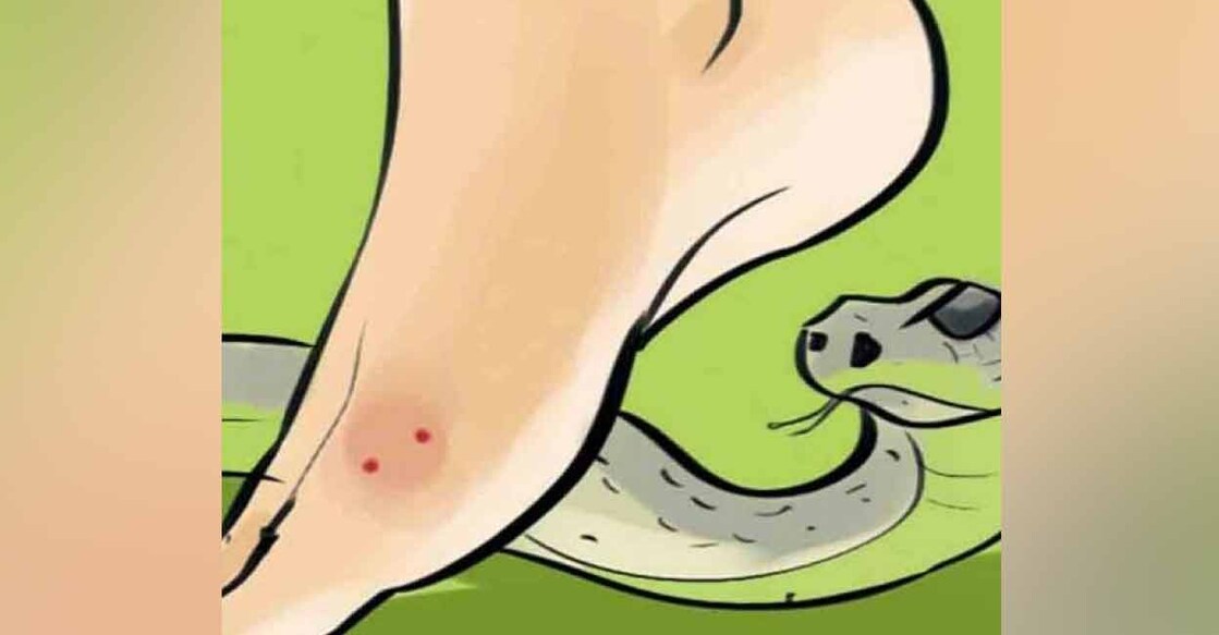 Representational image. Graphic: Manorama