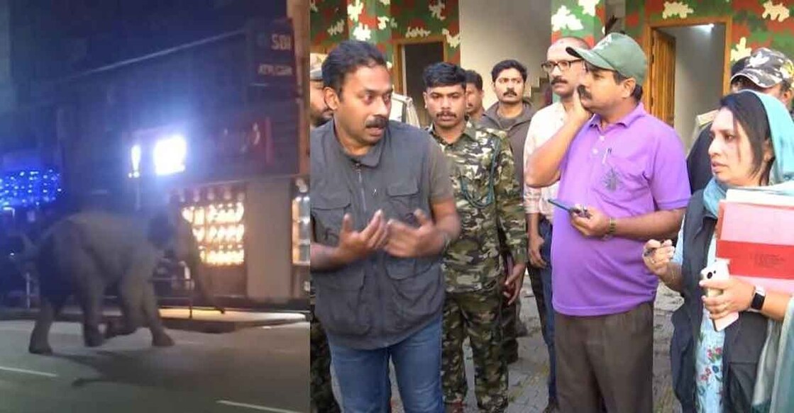 Wild elephant PM-2 (Left), taskforce responsible for capturing PM-2. Photo: Manorama News